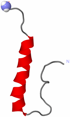 Image NMR Structure - model 1