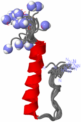 Image NMR Structure - all models