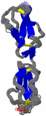 Image NMR Structure - all models