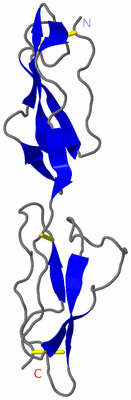 Image NMR Structure - model 1