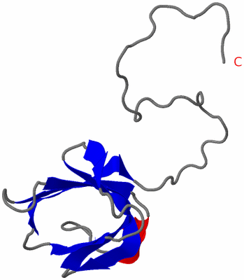 Image NMR Structure - model 1