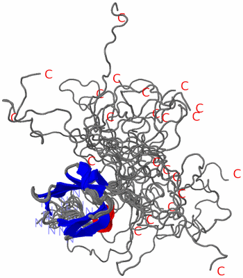 Image NMR Structure - all models