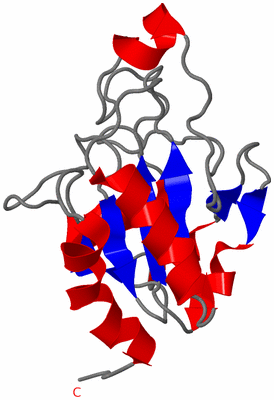 Image NMR Structure - model 1