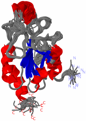 Image NMR Structure - all models