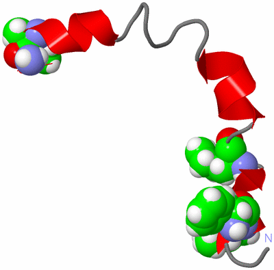 Image NMR Structure - model 1