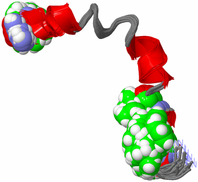 Image NMR Structure - all models