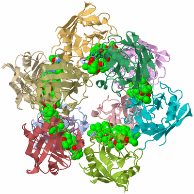 Image Asym./Biol. Unit