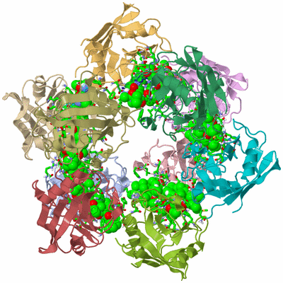 Image Asym./Biol. Unit - sites