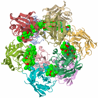 Image Asym./Biol. Unit