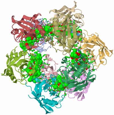 Image Asym./Biol. Unit - sites