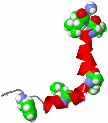 Image NMR Structure - model 1