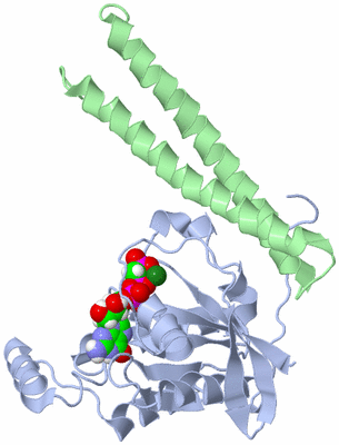 Image NMR Structure - model 1