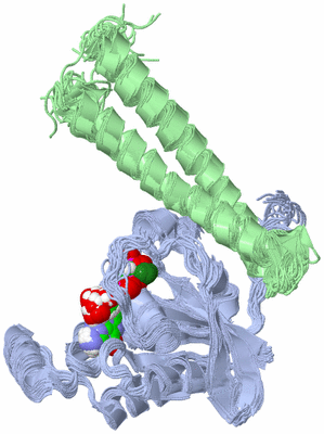 Image NMR Structure - all models