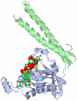 Image NMR Structure - model 1, sites