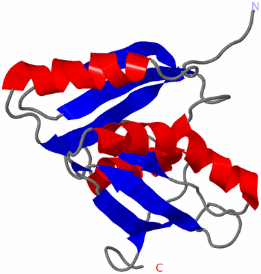 Image NMR Structure - model 1