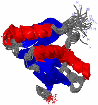 Image NMR Structure - all models