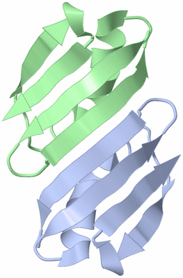 Image NMR Structure - model 1