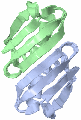 Image NMR Structure - all models