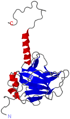 Image NMR Structure - model 1