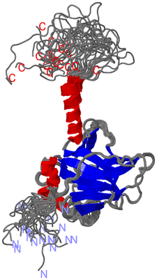 Image NMR Structure - all models