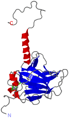 Image NMR Structure - model 1, sites