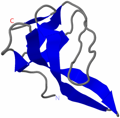 Image NMR Structure - model 1