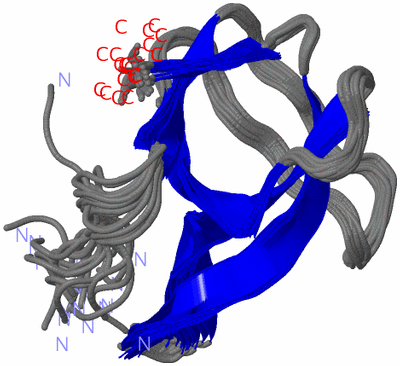 Image NMR Structure - all models