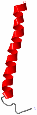 Image NMR Structure - model 1