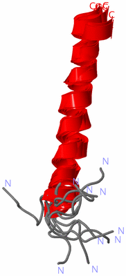 Image NMR Structure - all models