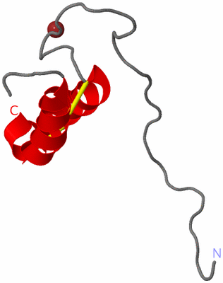 Image NMR Structure - model 1