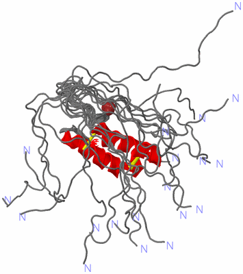 Image NMR Structure - all models