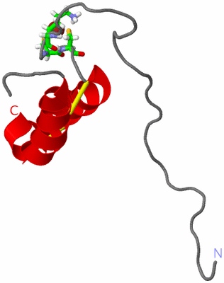 Image NMR Structure - model 1, sites