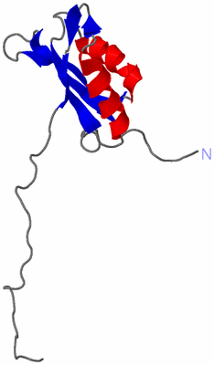 Image NMR Structure - model 1