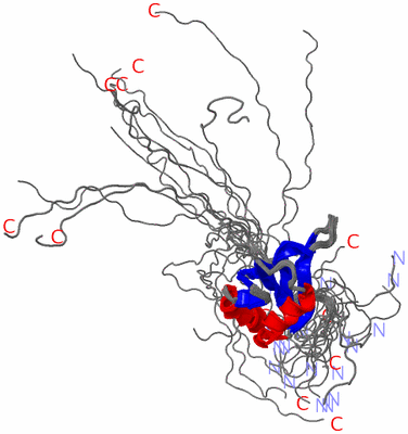 Image NMR Structure - all models