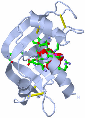 Image Biol. Unit 1 - sites