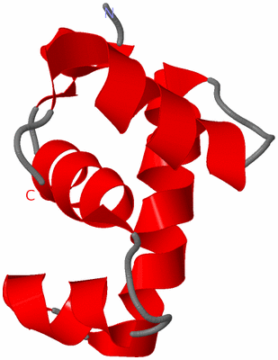 Image NMR Structure - model 1