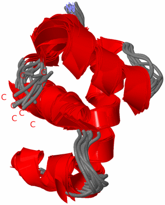 Image NMR Structure - all models