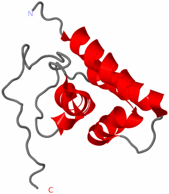 Image NMR Structure - model 1