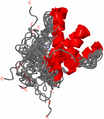 Image NMR Structure - all models