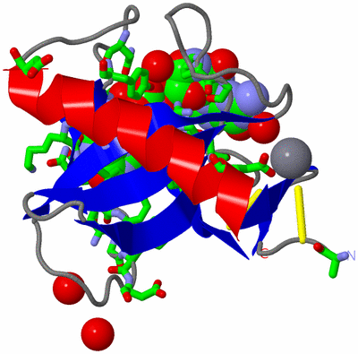 Image Asym./Biol. Unit - sites