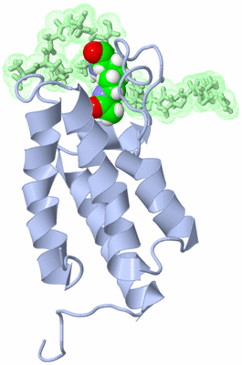 Image NMR Structure - model 1