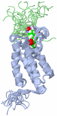 Image NMR Structure - all models