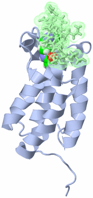 Image NMR Structure - model 1