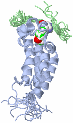 Image NMR Structure - all models