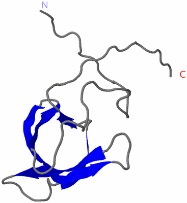 Image NMR Structure - model 1