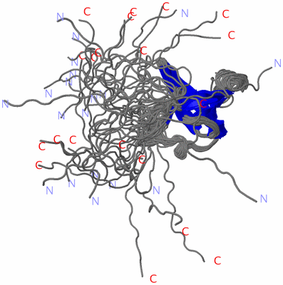 Image NMR Structure - all models