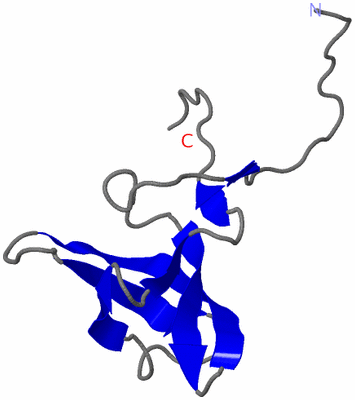 Image NMR Structure - model 1