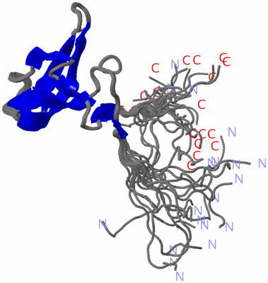 Image NMR Structure - all models