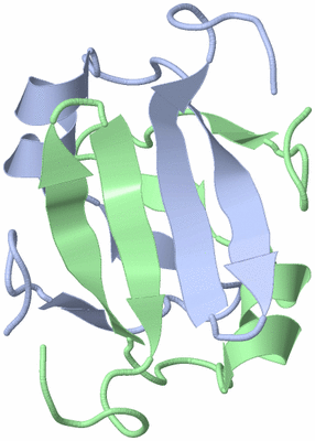 Image NMR Structure - model 1