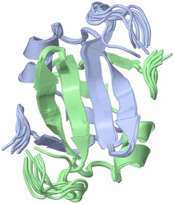 Image NMR Structure - all models